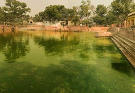 Brij Bhav Vrindavan